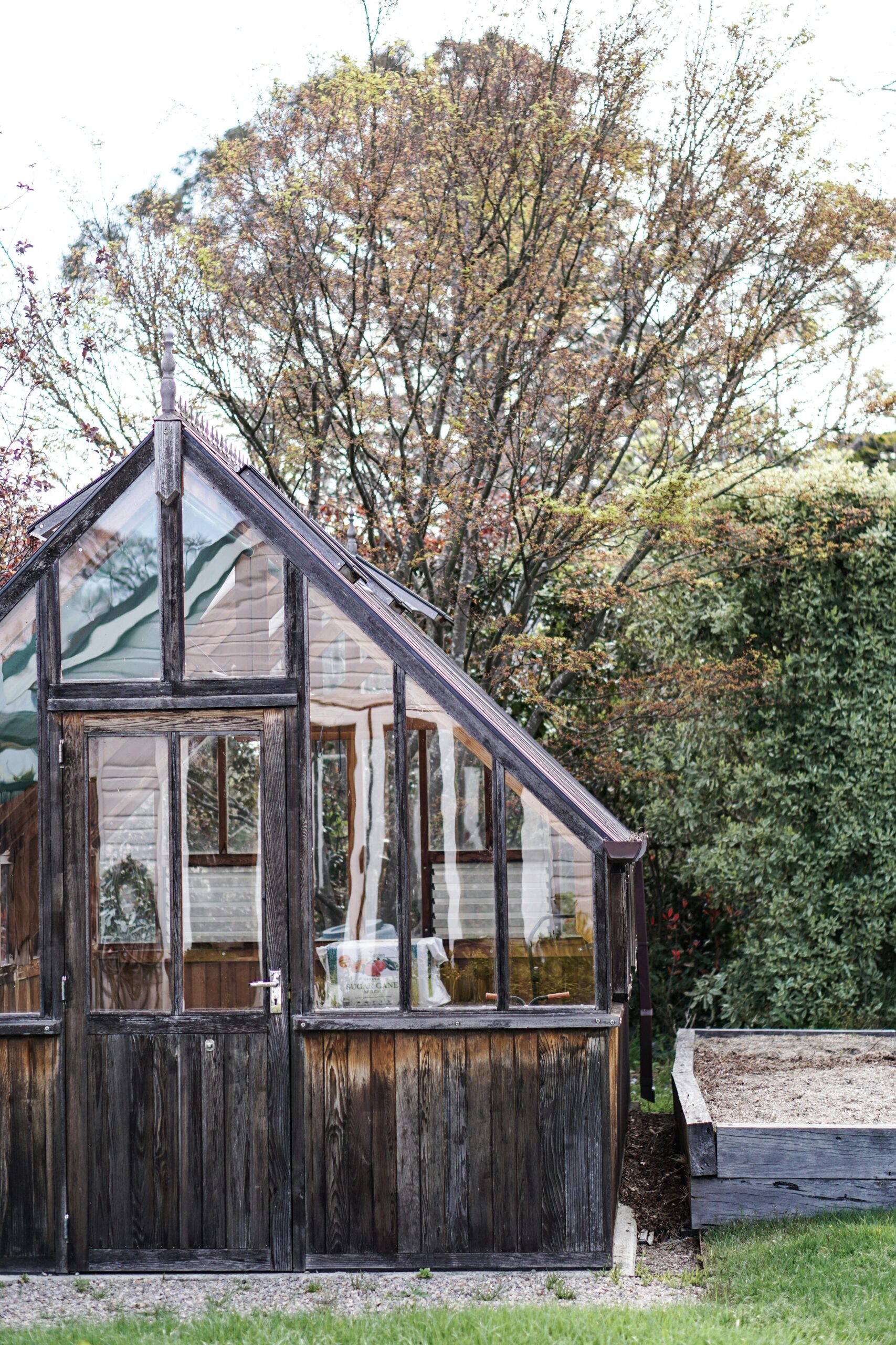 pexels-anna-guerrero-788383-2999008